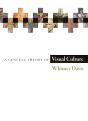 General Theory Of Visual Culture - Preview