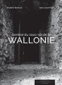 Genèse Du Sous-Sol De La Wallonie - Preview