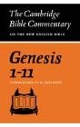 Genesis 1-11 - Preview