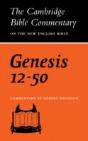 Genesis 12-50 - Preview