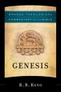 Genesis (Brazos Theological Commentary On The Bible) - Preview