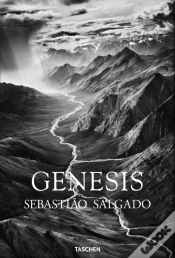 Capa do artigo Genesis