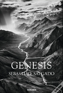 Capa do artigo Genesis
