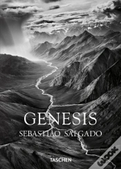 Capa do artigo Genesis
