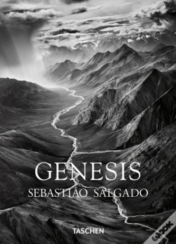 Capa do artigo Genesis