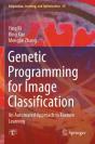 Genetic Programming For Image Classification - Preview