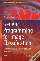 Genetic Programming For Image Classification