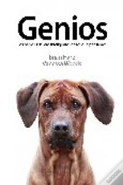 Capa do artigo Genios.