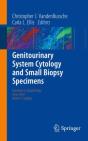 Genitourinary System Cytology And Small Biopsy Specimens - Preview