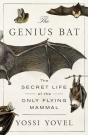 Genius Bat - Preview