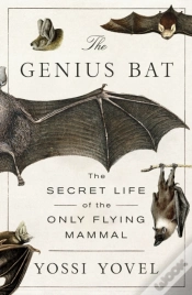 Capa do artigo Genius Bat