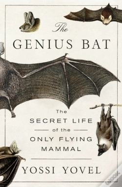 Capa do artigo Genius Bat