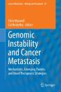 Genomic Instability And Cancer Metastasis - Preview
