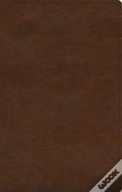 Capa do artigo Gentle And Lowly