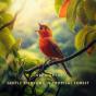 Gentle Birdsong In Tropical Forest - Preview