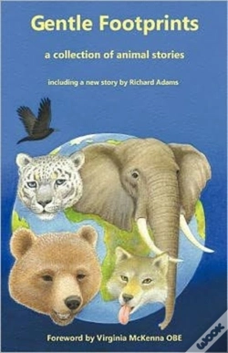 Capa do artigo Gentle Footprints
