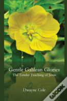 Gentle Galilean Glories