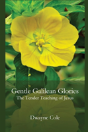 Gentle Galilean Glories - Preview