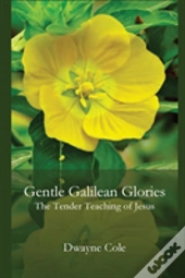 Gentle Galilean Glories