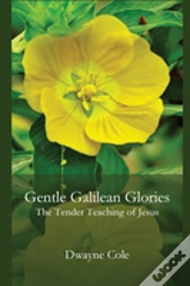 Capa do artigo Gentle Galilean Glories