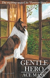Gentle Hero