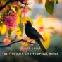 Gentle Rain And Tropical Birds - Preview