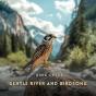 Gentle River And Birdsong - Preview