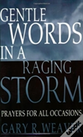 Gentle Words In A Raging Storm