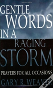 Capa do artigo Gentle Words In A Raging Storm
