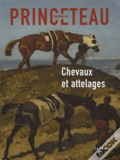 Capa do artigo Gentleman Princeteau T.1 ; Chevaux Et Attelages
