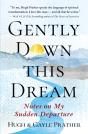 Gently Down This Dream - Preview