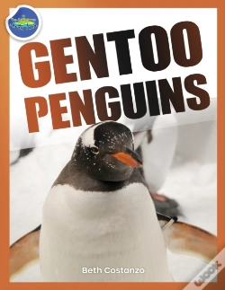 Capa do artigo Gentoo Penguins Activity Workbook Ages 4