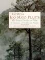 Gentry'S Rio Mayo Plants - Preview