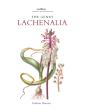 Genus Lachenalia - Preview