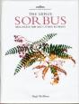 Genus Sorbus - Preview