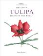 Genus Tulipa - Preview