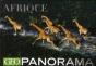 Geo Panorama Afrique - Preview