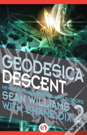 Capa do artigo Geodesica Descent
