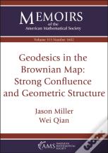 Geodesics In The Brownian Map: Strong Confluence And Geometric Structure