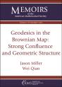 Geodesics In The Brownian Map: Strong Confluence And Geometric Structure - Preview
