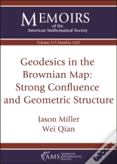Geodesics In The Brownian Map: Strong Confluence And Geometric Structure