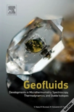 Capa do artigo Geofluids