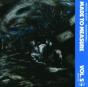 Geographies - Vinil - Preview