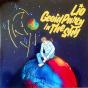 Geoid Party In The Sky - Vinil - Preview