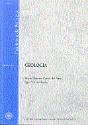 Geolog¡A - Preview
