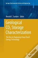 Geological Co2 Storage Characterization