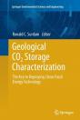 Geological Co2 Storage Characterization - Preview