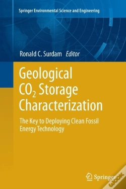 Capa do artigo Geological Co2 Storage Characterization