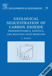 Capa do artigo Geological Sequestration Of Carbon Dioxide
