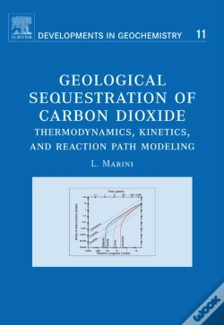 Capa do artigo Geological Sequestration Of Carbon Dioxide